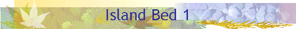 Island Bed 1